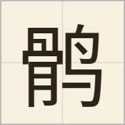鹘字怎么写？鹘字读音、释义