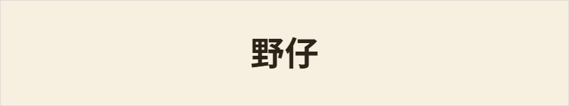 野仔粤语什么意思、例句及详细解释